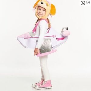 Pottery Barn Kids Pink and Silver Pilot Costume